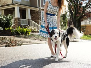 年轻女子带着狗在街上