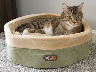 Cat laying in a K&H Pet Products Thermo-Kitty Heated Cat Bed