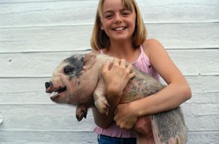 抱着大肚猪的女孩