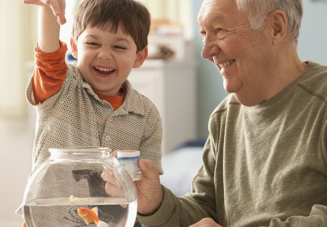 Goldfish being fed by a male child and male senior