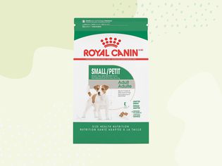 Royal Canin Small Breed Adult Dry Dog Food