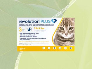 Revolution Plus flea treatment for cats on a green background