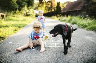蹒跚学步的男孩在街上玩粉笔，手里拿着香蕉，黑狗在旁边看着
