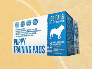 Collage of puppy training pads we recommend on a yellow background