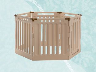 Richell Convertible Indoor/Outdoor Pet Playpen collaged on a blue background