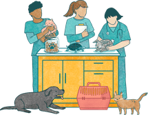 三个兽医在桌子上照顾各种动物的插图