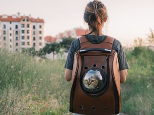 Person standing in a field wearing a backpack cat carrier