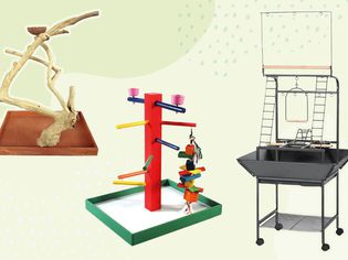 Collage of several parrot playstands we recommend on a green background