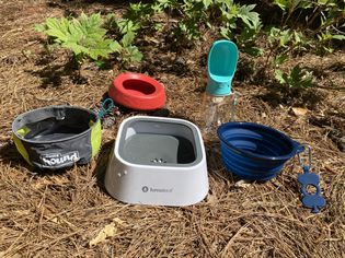 A variety of travel water bowls for dogs sitting outdoors on the ground