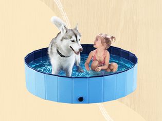Collage of a dog pool we recommend on a yellow background