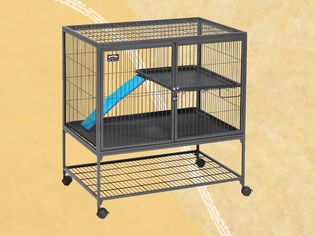 A ferret cage we recommend on a yellow background