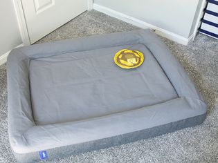Casper Dog Bed displayed on gray carpet