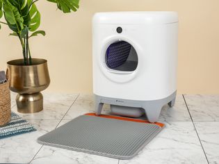PETKIT Pura X Self-Cleaning Cat Litter Box displayed on a tile floor