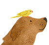 一只小鸟坐在狗的头上的插图