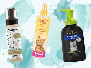 Collage of waterless cat shampoos we recommend on a blue watercolor background