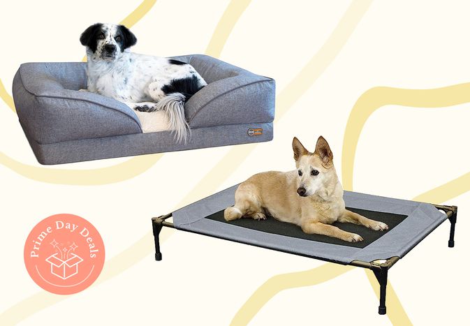 K&H PET PRODUCTS Pillow-Top Orthopedic Lounger Sofa Dog Bed and K&H Pet Products Original Pet Cot set on a patterned background