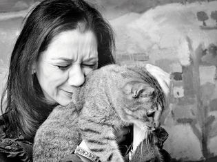 一个悲伤的女人抱着一只猫的照片