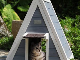 Cat resting inside Petsfit Outdoor Cat House displayed on stone patio in garden