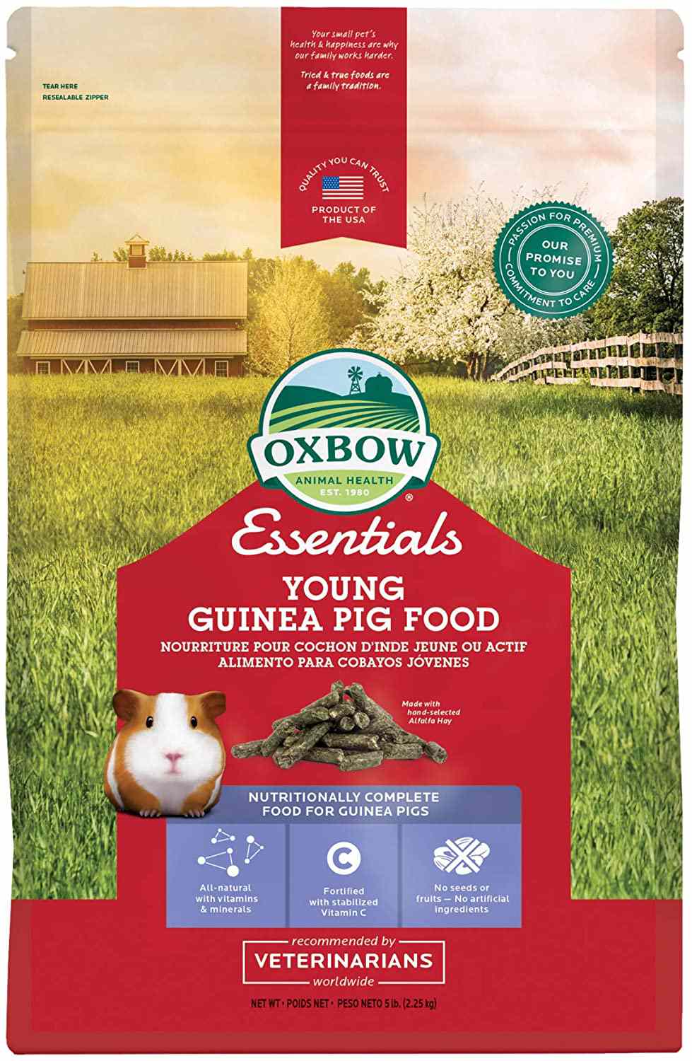 牛轭精华小豚鼠食物