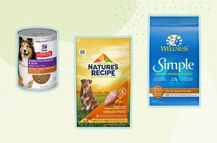 Different types of dog food on a yellow background