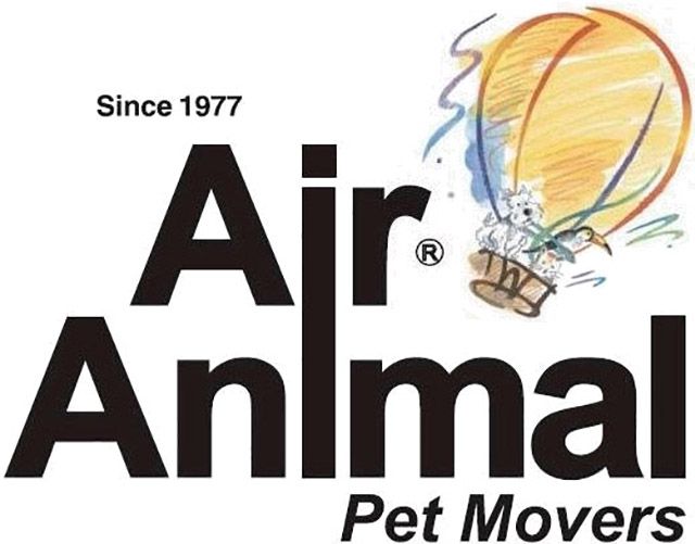 空气动物宠物搬家与热头发气球插图