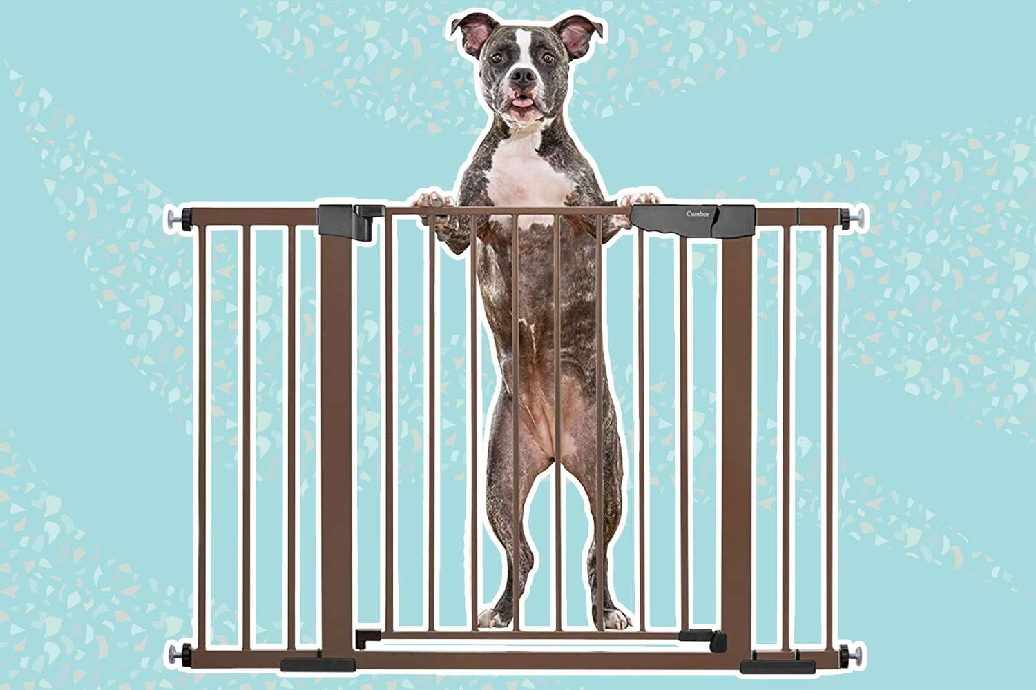 The Cumbor Auto-Close Pet Gate with a dog on a blue background