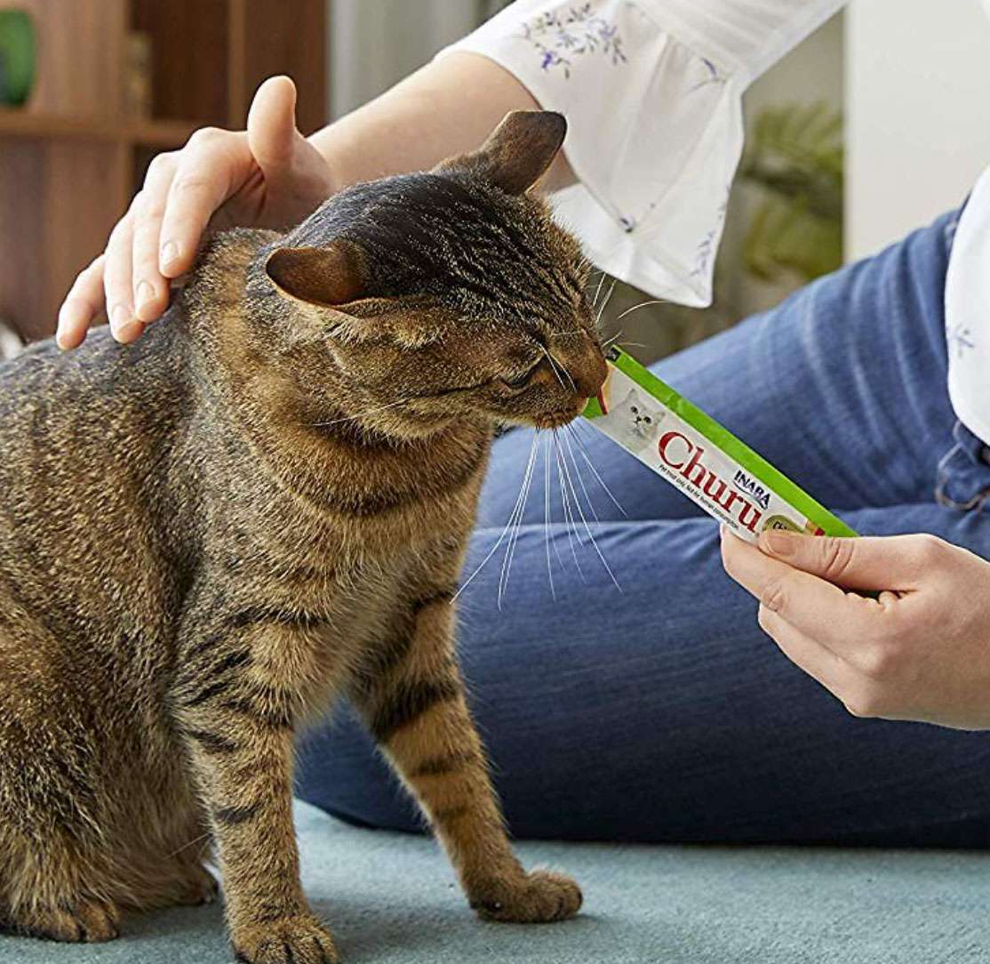 INABA Churu可舔猫糖