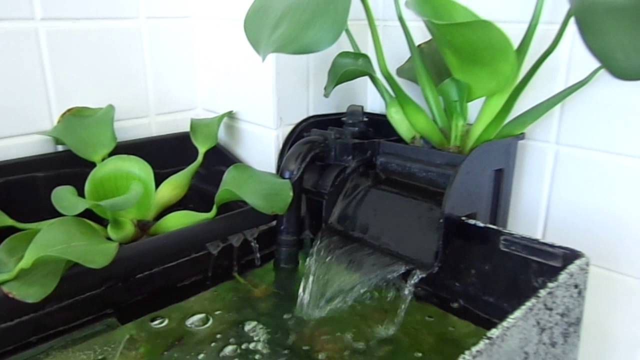 家用水族箱中的机械过滤器