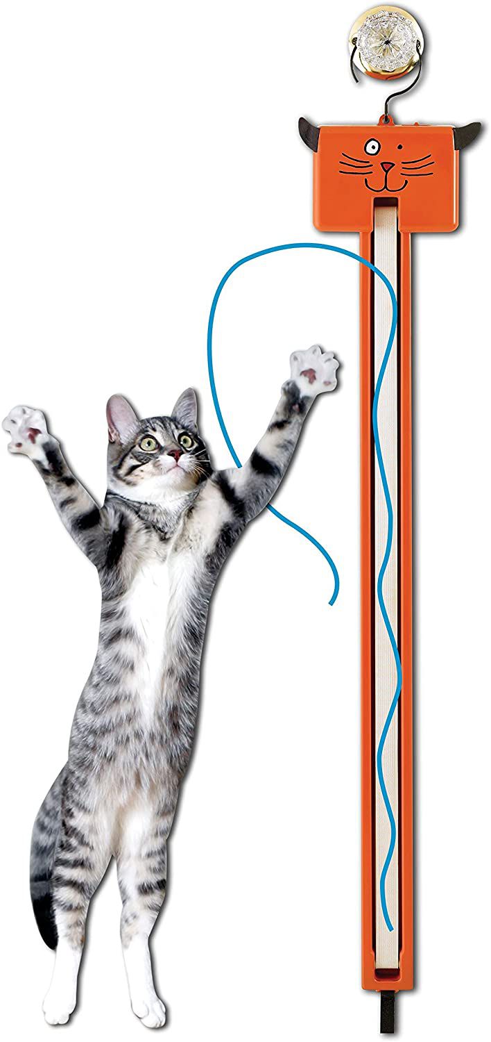艾薇·卡丽娜·卡丽娜——比如冲浪的小猫