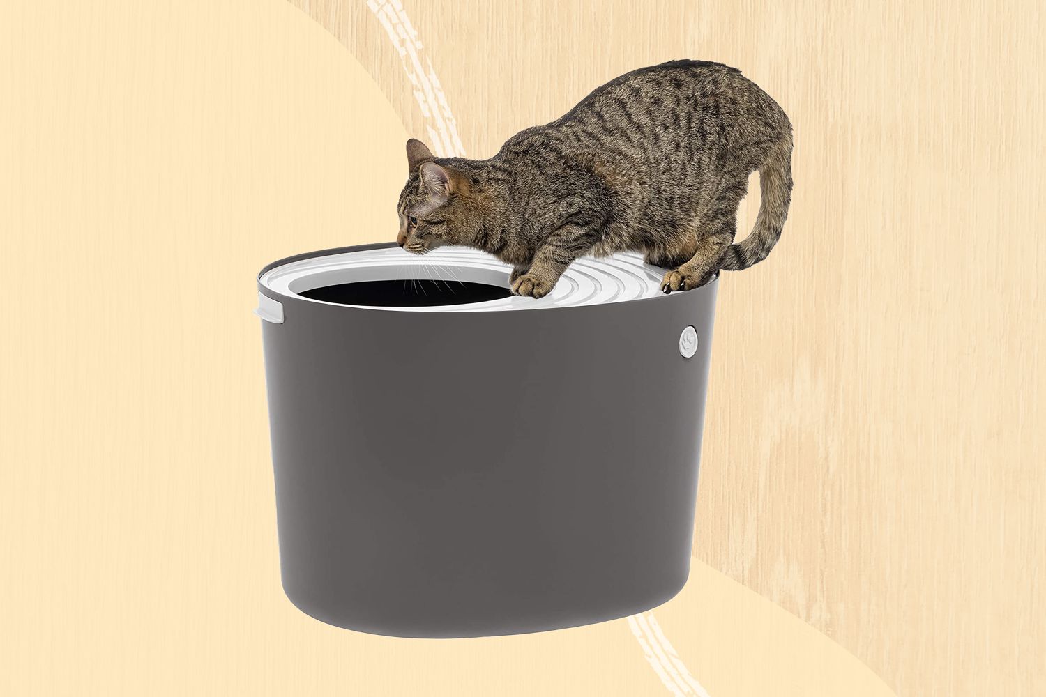 Cat Entering Top-Entry Litter Box On Yellow Background