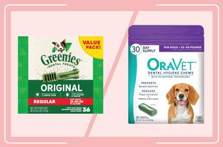 Greenies and OraVet Dental Chews on a pink background