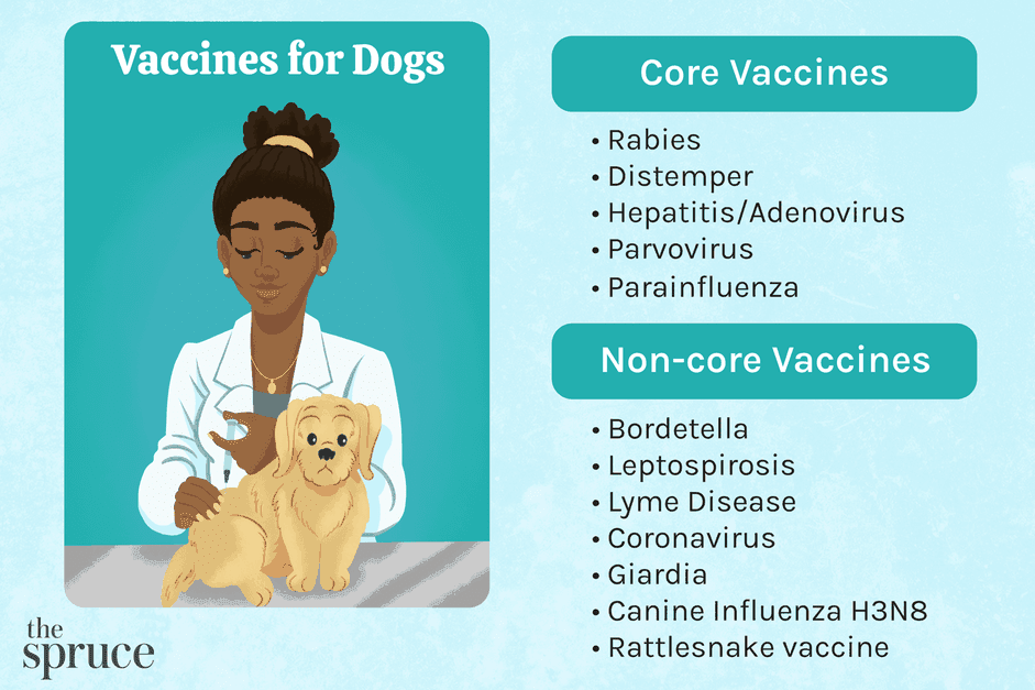 犬用核心疫苗和非核心疫苗