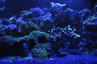 水族馆的灯光