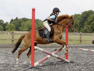 girl schooling her horse