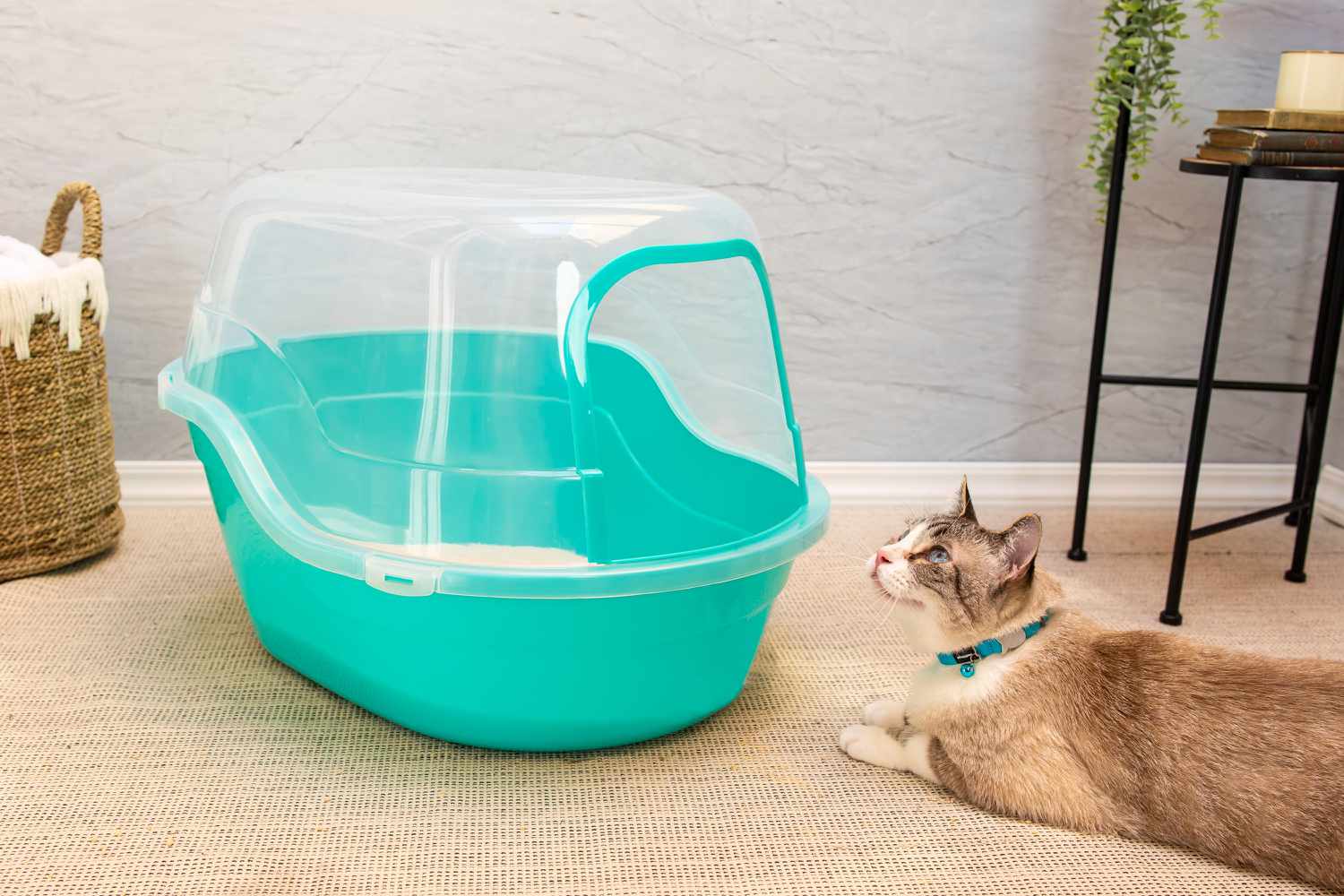 Petphabet Jumbo Hooded Cat Litter Box