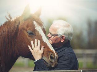 Human-horse债券