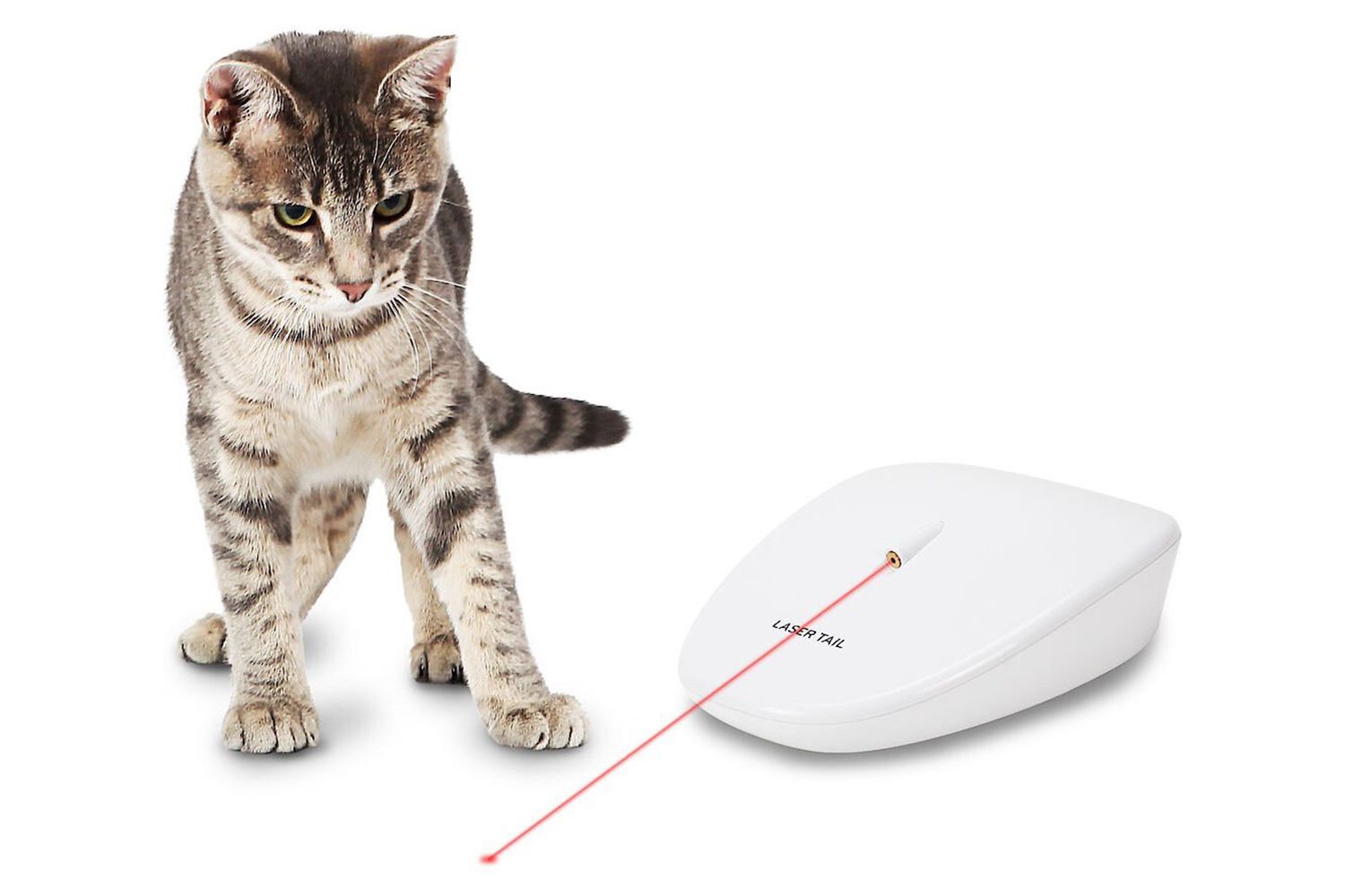 PetSafe激光尾自动激光灯
