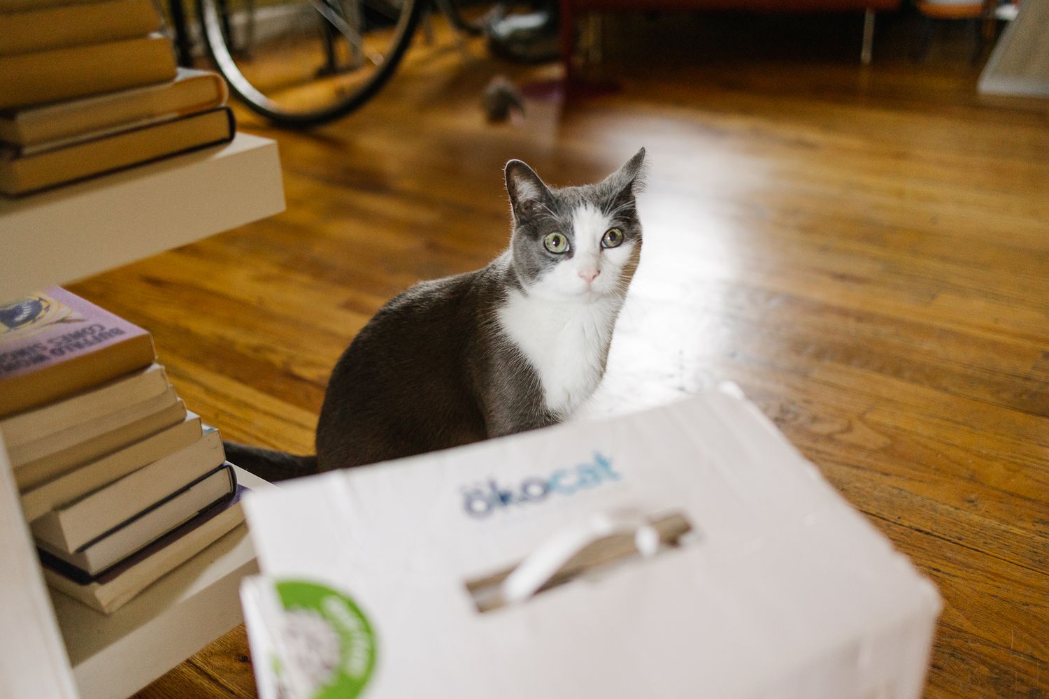 Okocat's Non-Clumping Paper Pellet Litter in its packaging