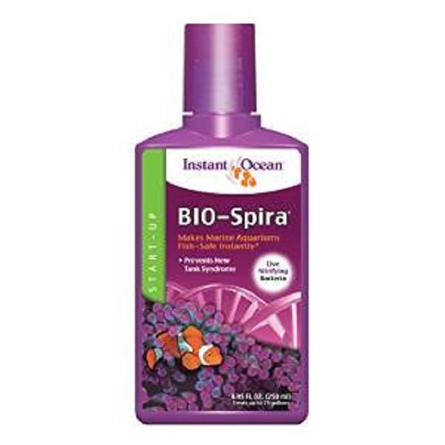 即时海洋生物spira