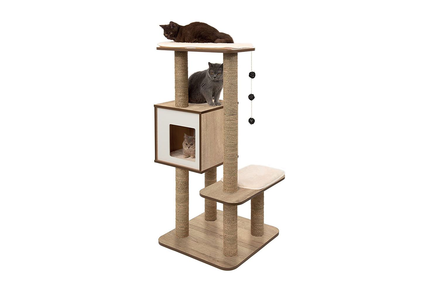 猫猫Vesper高基地猫树