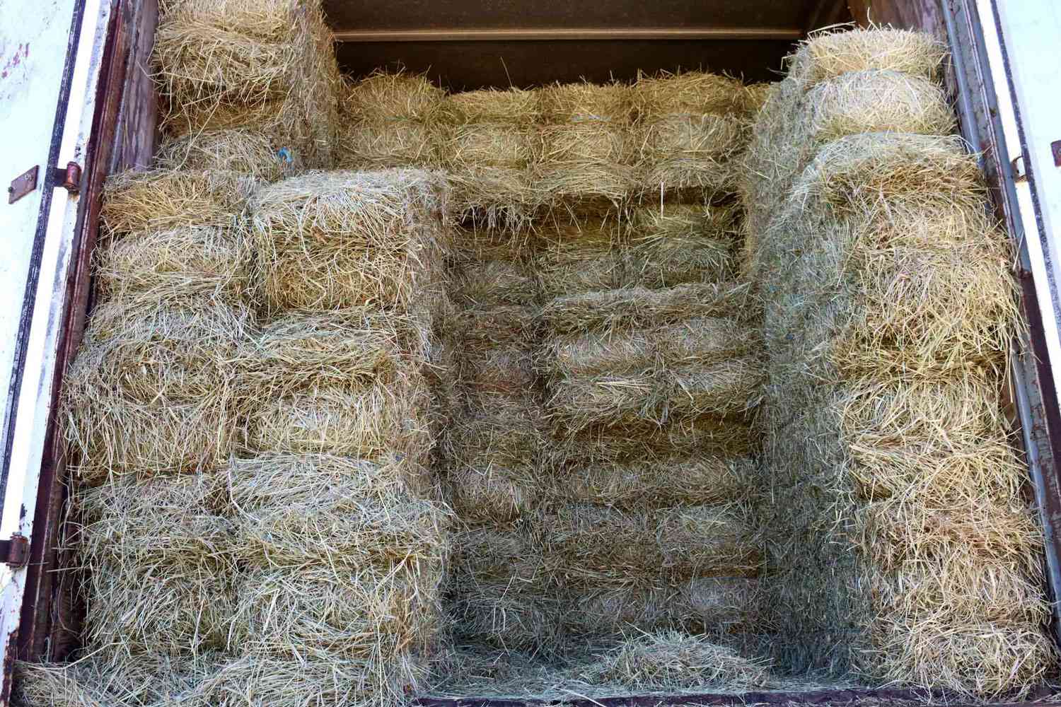 谷仓里一捆捆摞在一起的干草