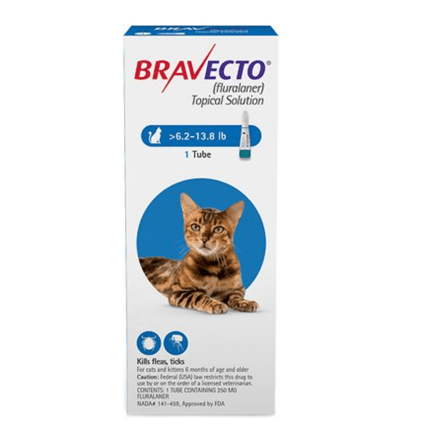 Bravecto猫局部解决方案