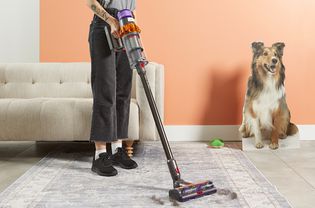 A person using a Dyson V15 Detect Cordless Vacuum Cleaner to clean fur off a rug