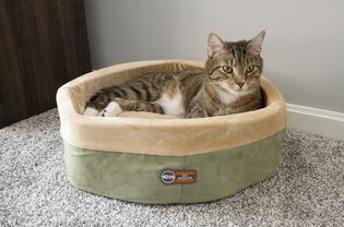 K&H宠物产品热猫加热猫床