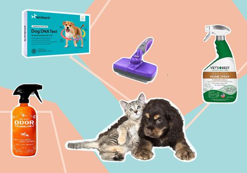 2021年亚马逊Prime Day:促销前要知道的事情