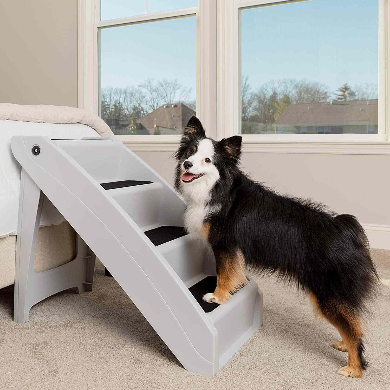 PetSafe CozyUp折叠宠物台阶