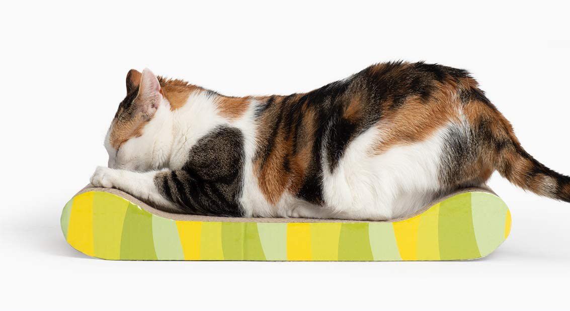 猫挠板与猫薄荷