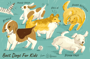 Best Dogs for Kids