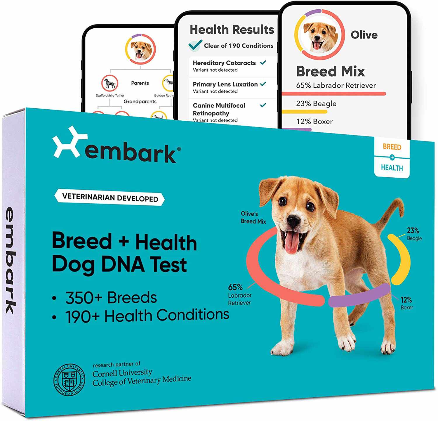登船犬种和健康箱