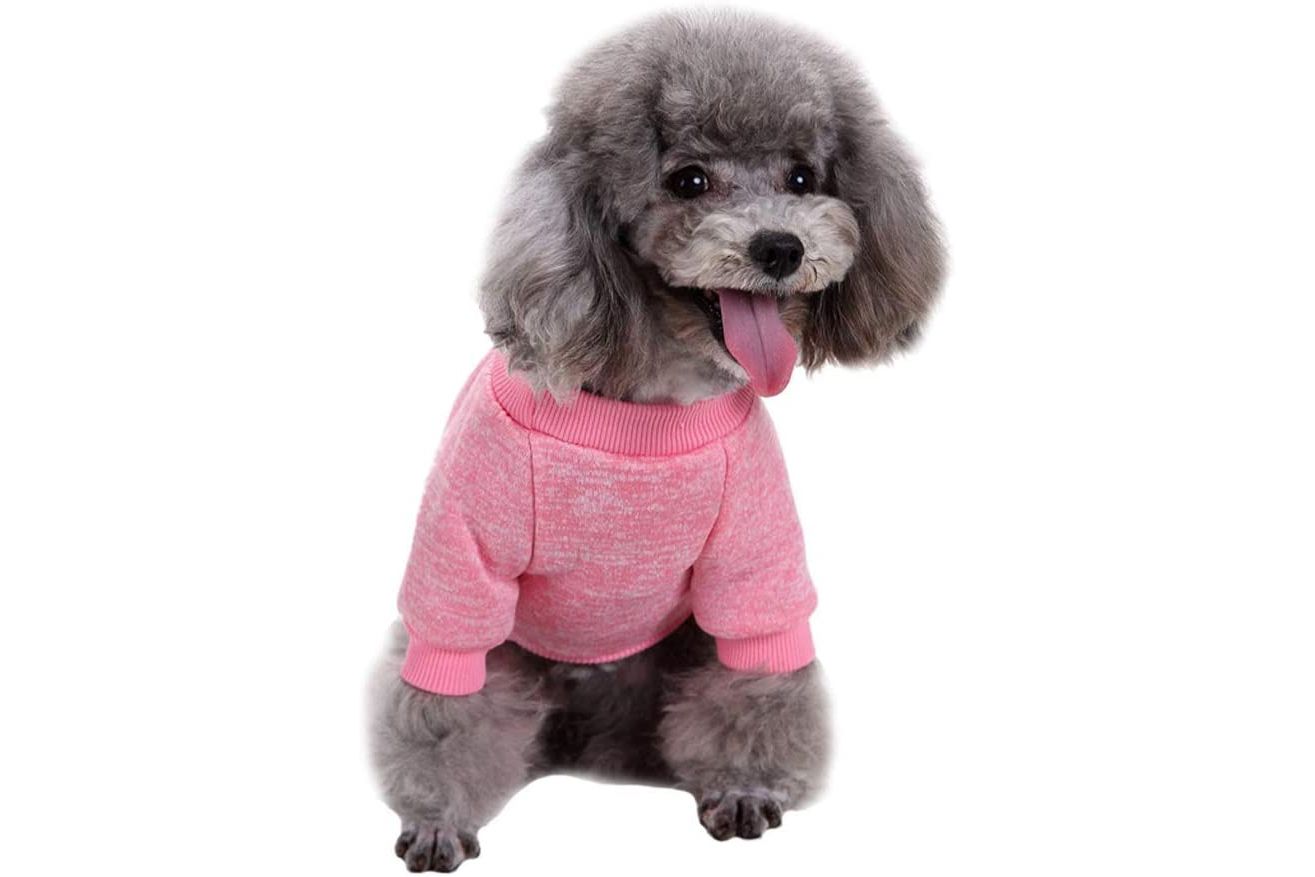 Jecikelon Knitwear狗毛衣